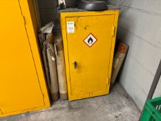 Small COSHH Cabinet