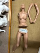 Female Sitting Position Mannequins - No Reserve