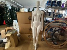 Female Mannequins - No Reserve