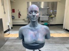 Female Foam Upper Torso And Head - No Reserve