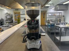 Zenith Commercial Coffee Grinder