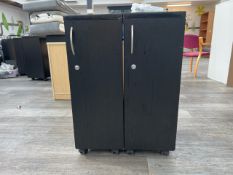 2 x Vanity Trolleys - No Reserve
