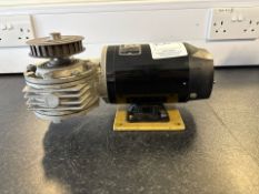 Bodine Small Motor - No Reserve