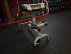 Matrix Preacher Curl Bench