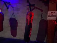 Rox Punch Bag And Mount