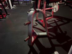 Technogym Weight Plate Tree