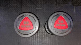 Ziva 38kg Dumbbells x2