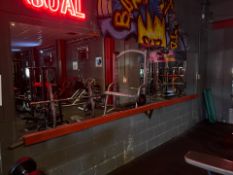 Gym Wall Mirror