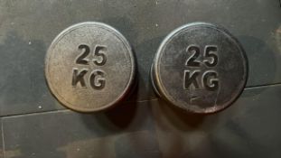 25kg Dumbbells x2