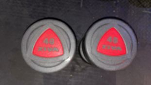 Ziva 48kg Dumbbells x2
