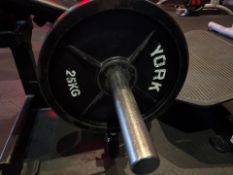 Metal 25kg Plates x2