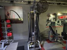 Technogym Single Adjustable Pulley Machine