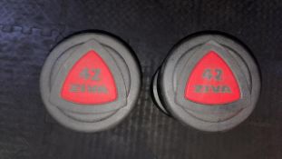 Ziva 42kg Dumbbells