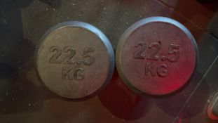 22.5kg Dumbbells
