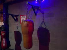 Title Punch Bag And Mount