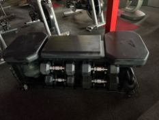 Nautilus Throwdown Workout Bench & Weights