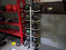 Medicine Ball Rack And Balls