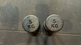 5kg Dumbbells x2