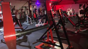 Plate Loaded Standing Chest Press