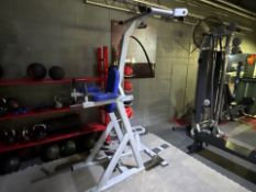 Leisure Lines Pull Up And Dip Station