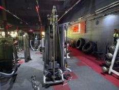 Technogym Single Adjustable Pulley Machine