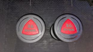 Ziva 36kg Dumbbells x2