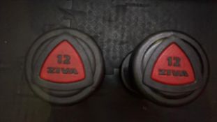 Ziva 12kg Dumbbells x2