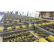 181 Bays of Back To Back Flow Racking Consists 224 Frames, 910 Flow Shelves, Dismantled & Palletised - Image 6 of 27