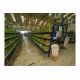 181 Bays of Back To Back Flow Racking Consists 224 Frames, 910 Flow Shelves, Dismantled & Palletised - Image 11 of 27