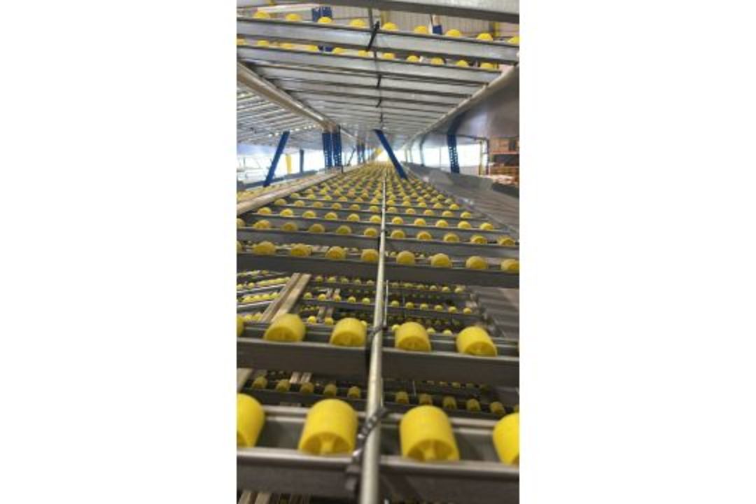 181 Bays of Back To Back Flow Racking Consists 224 Frames, 910 Flow Shelves, Dismantled & Palletised - Image 24 of 27
