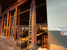 Metal 17 Rung Ladder - No Reserve