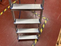6 Step Stepladder - No Reserve