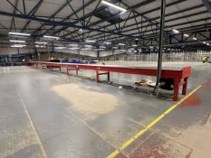 20m Motorized Roller Conveyor