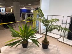 2 x Artificial Plants - No Reserve