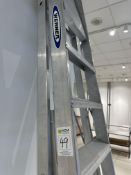 Werner 9 Tread Stepladder - No Reserve
