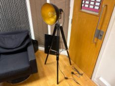 Matt Black, Gold Accent Studio Light