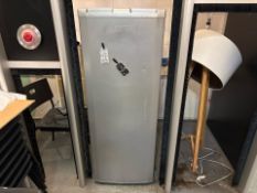 Beko Stand Up Fridge