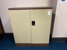 Metal Storage Cupboard- No Reserve