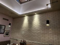 Pair Of Pendant Lamps - No Reserve