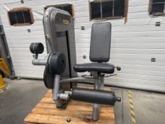 Technogym Pin Loaded Leg Extension- No Reserve