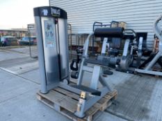 Everlast Back Extension - No Reserve