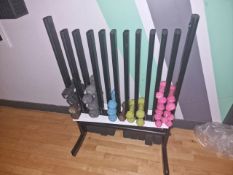 Dumbbells & Stand - No Reserve