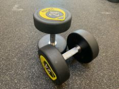 Rockit 24kg Dumbbell Pair
