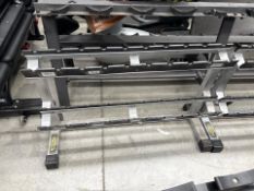 Technogym Small Dumbbell Rack- No Reserve