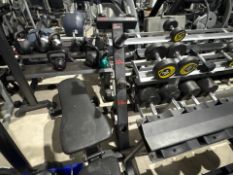 Weight Tree No Reserve