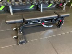 Nautilus Adjustable Bench