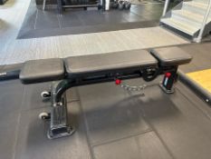 Nautilus Adjustable Bench