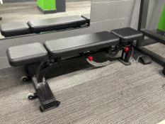 Nautilus Adjustable Bench