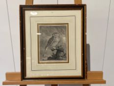 Owl Artwork Framed