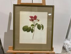 Flower Artwork Framed